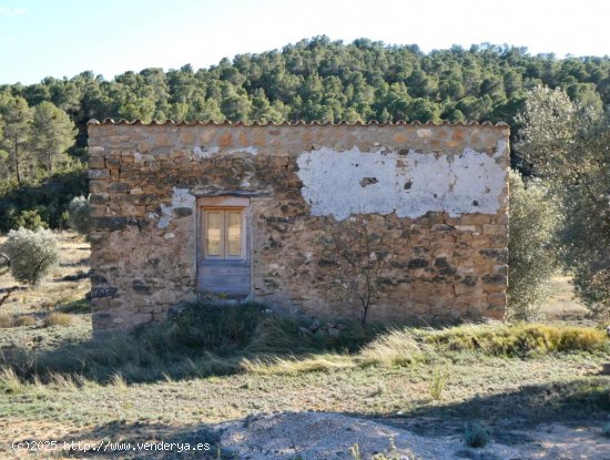 Finca en venta en Maella (Zaragoza)