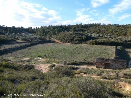 Finca en venta en Fabara (Zaragoza)