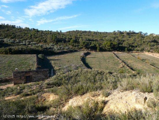 Finca en venta en Fabara (Zaragoza)