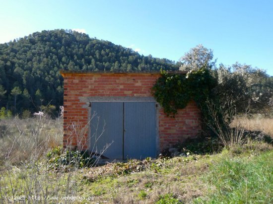  Finca en venta en Caseres (Tarragona) 