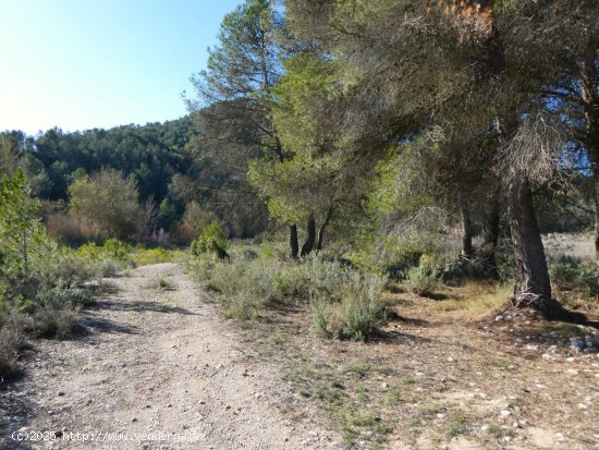 Finca en venta en Caseres (Tarragona)