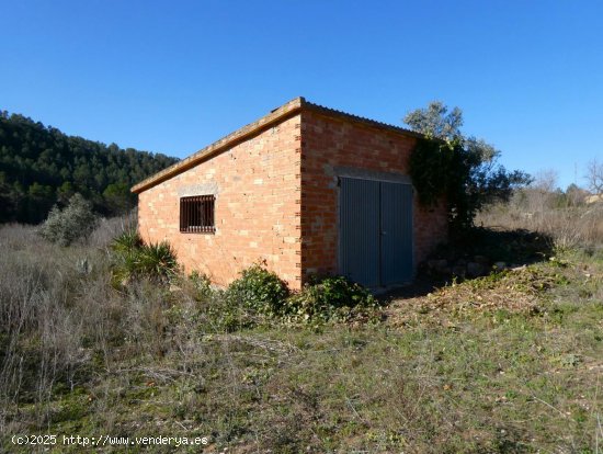 Finca en venta en Caseres (Tarragona)