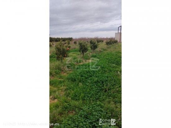 Finca en venta en Algemesí (Valencia)