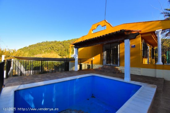  Villa en venta en Alzira (Valencia) 