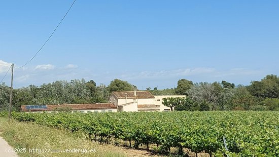  Masia en venta  en Vilobi del Penedès - Barcelona 