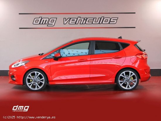 Ford Fiesta 1.0 EcoB. MHEV 114kW155CV STLine - Rubí