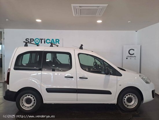 Citroën Berlingo  Talla M BlueHDi 55kW  (CA) Control - CIUDAD REAL