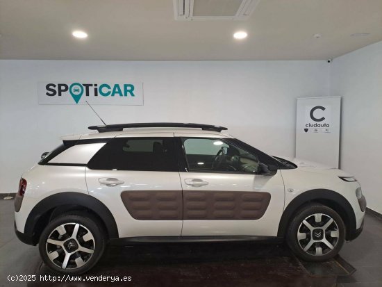 Citroën C4 Cactus  PureTech 81KW (110CV) S&S EAT6 Shine - CIUDAD REAL