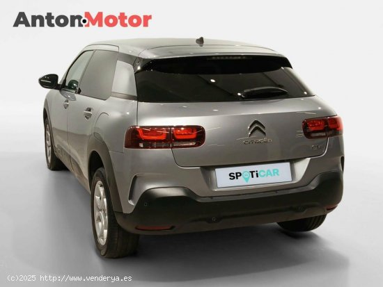 Citroën C4 Cactus  PureTech 110 S&S Shine - VITORIA