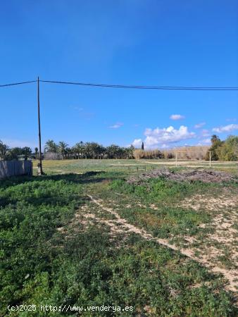 CHALET ZONA ALGODA - ALICANTE