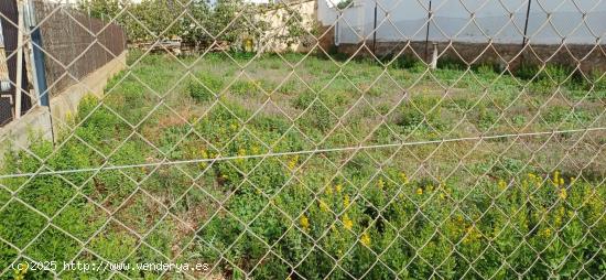 TERRENO URBANO URBANIZABLE EN SON FERRIOL. - BALEARES