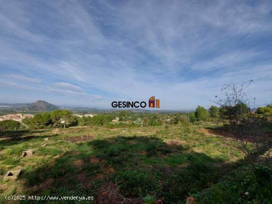 PARCELA MUY BIEN SITUADA EN PLENA NATURALEZA - VALENCIA