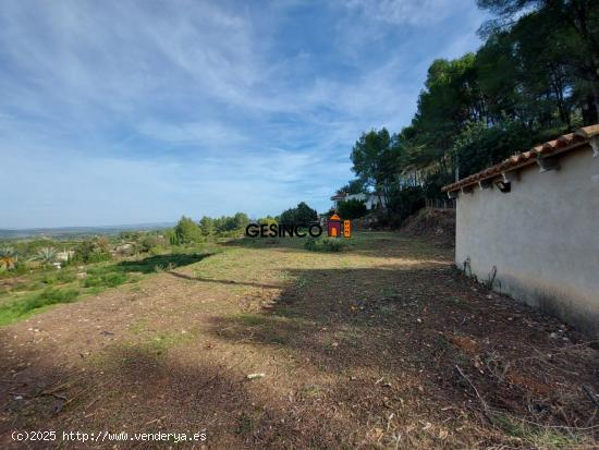 PARCELA MUY BIEN SITUADA EN PLENA NATURALEZA - VALENCIA