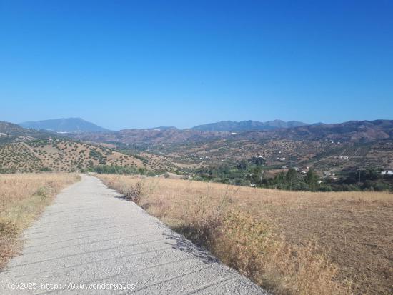  Terreno de 120,000 m² en Tolox, Málaga: Vistas Despejadas y Gran Potencial de Inversión - MALAGA 