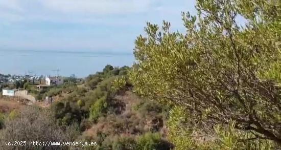 PARCELA CON VISTAS AL MAR ZONA LOS ALTOS DE LOS MONTEROS - MALAGA