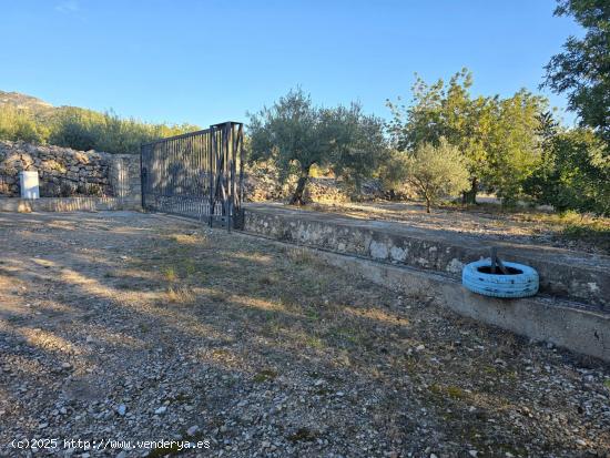 FINCA RÚSTICA EN SERRAMAR - TARRAGONA