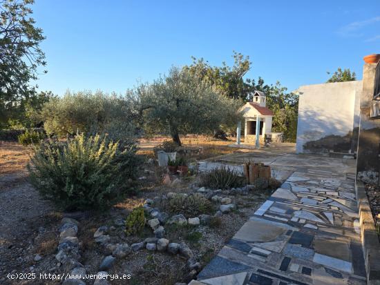 FINCA RÚSTICA EN SERRAMAR - TARRAGONA