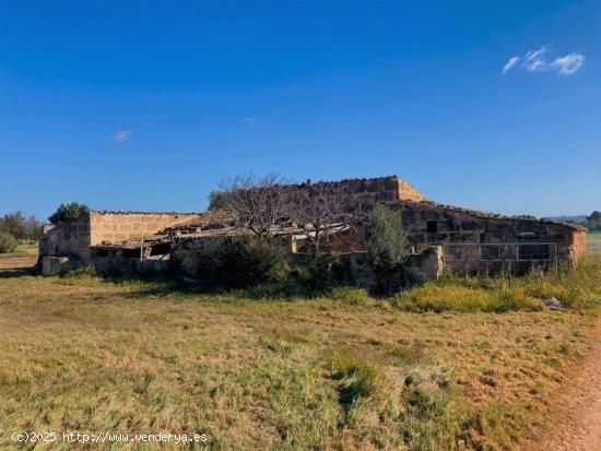 Finca rústica  con posibilidad de edificar en Llubi - BALEARES