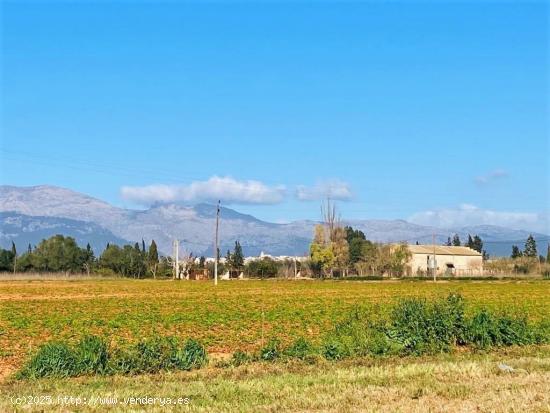 Finca rústica  con posibilidad de edificar en Llubi - BALEARES