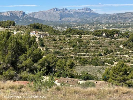 🌿 Parcela en Venta en Benissa – 15.000 m² con Vistas al Mar y la Montaña - ALICANTE