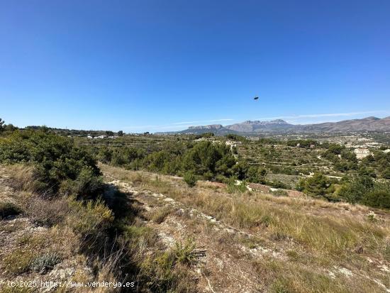 🌿 Parcela en Venta en Benissa – 15.000 m² con Vistas al Mar y la Montaña - ALICANTE