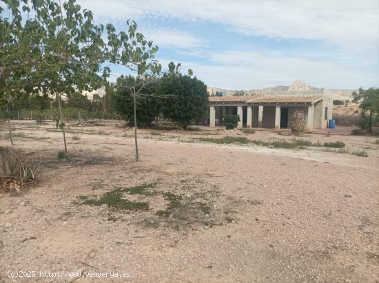 TIERRA CON BALSA Y CASA DE APEROS - ALICANTE