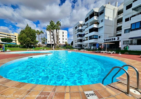 Piso en alquiler en San Bartolomé de Tirajana (Las Palmas)