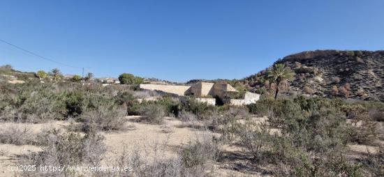  TERRENO RUSTICO - ALICANTE 