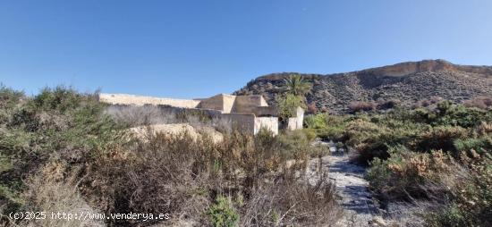 TERRENO RUSTICO - ALICANTE