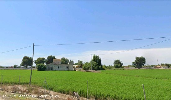 Finca en venta en Dolores (Alicante)