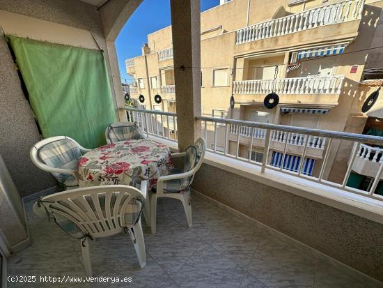  Apartamento de 1 dormitorio a 200m de la playa en Torrevieja - ALICANTE 