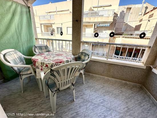 Apartamento de 1 dormitorio a 200m de la playa en Torrevieja - ALICANTE