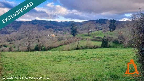 Un rincón de naturaleza a solo 10 minutos de Villaviciosa.