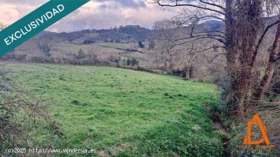 Un rincón de naturaleza a solo 10 minutos de Villaviciosa.