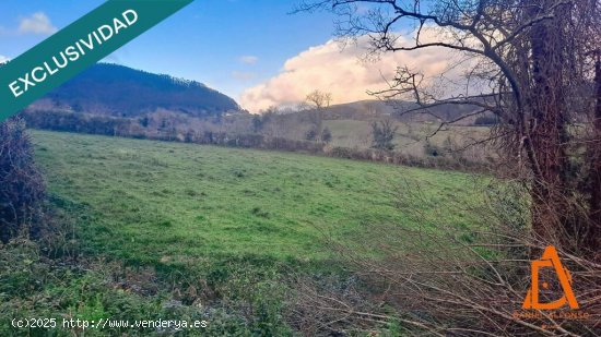 Un rincón de naturaleza a solo 10 minutos de Villaviciosa.