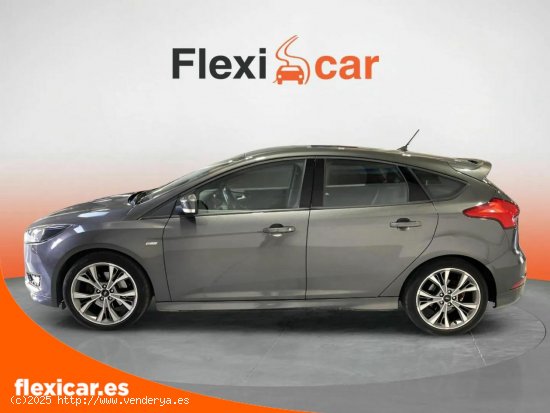 Ford Focus 1.5 Ecoboost 135kW ST-Line - Vilanova i la Geltrú