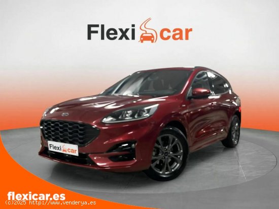 Ford Kuga ST-Line 1.5T EcoBoost 110kW (150CV) - 5P (2022) - San Andrés de Palomar