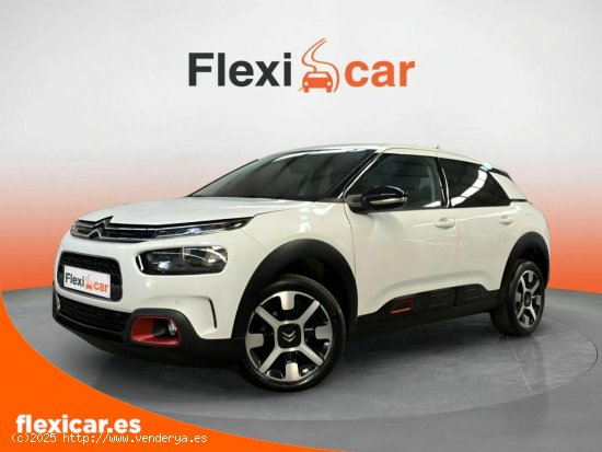 Citroën C4 Cactus BlueHDi 100 S&S Shine Pack - Málaga