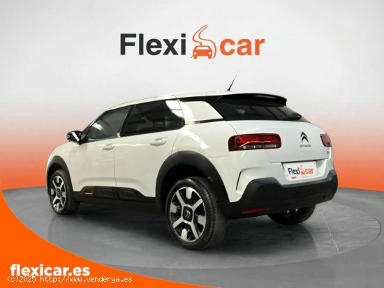 Citroën C4 Cactus BlueHDi 100 S&S Shine Pack - Málaga