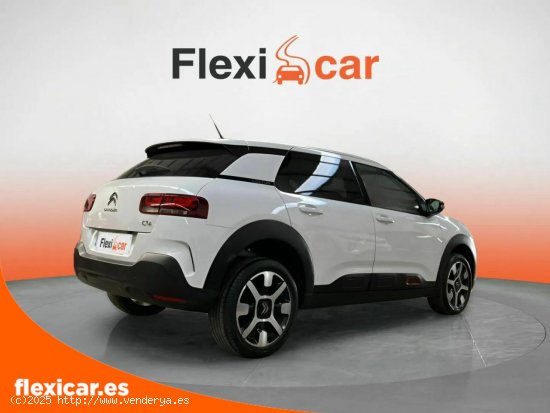 Citroën C4 Cactus BlueHDi 100 S&S Shine Pack - Málaga