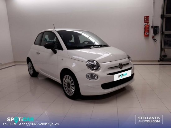 Fiat 500   1.0 Hybrid 51KW (70 CV) Cult - Ourense