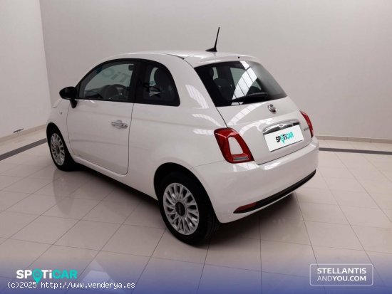 Fiat 500   1.0 Hybrid 51KW (70 CV) Cult - Ourense