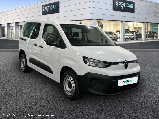 Citroën Berlingo  Talla M BlueHDi 100 S&S You - LORCA