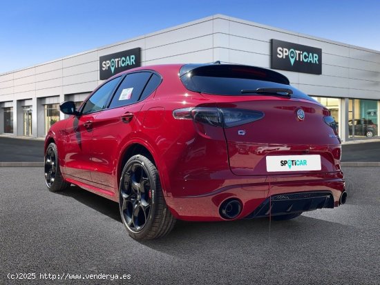 Alfa Romeo Stelvio Tributo Italiano 2.2  JTDM 210 CV AT8 - Sevilla