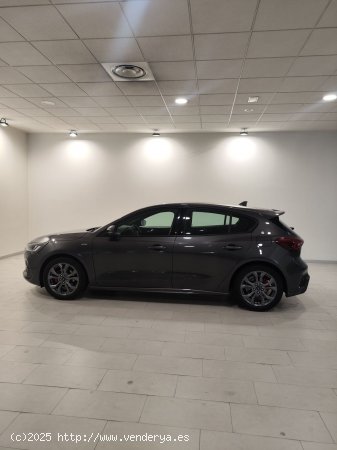 Ford Focus 1.0 Ecoboost MHEV 114kW ST-Line - Lleida