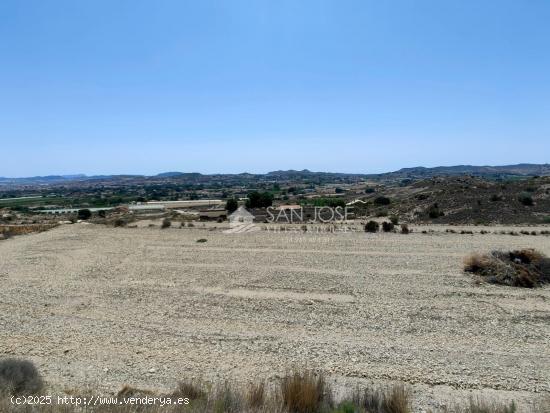 VENTA DE PARCELA EN ASPE, ZONA TORRETA-CARRETERA ROMANA - ALICANTE