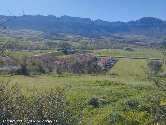 PARCELA URBANA EN VILLANUEVA DE MENA - BURGOS