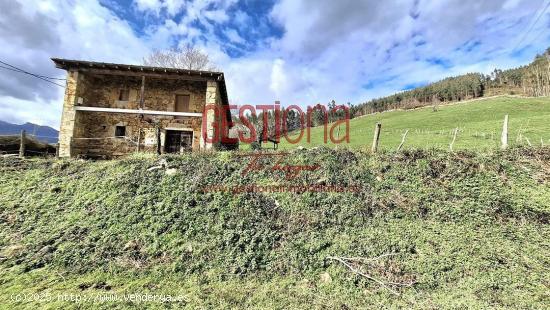 CABAÑA CON TEJADO REFORMADO. RAMALES DE LA VICTORIA. - CANTABRIA