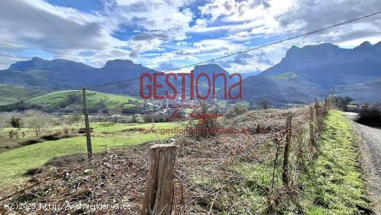 CABAÑA CON TEJADO REFORMADO. RAMALES DE LA VICTORIA. - CANTABRIA