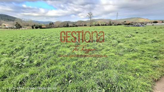 OPORTUNIDAD COMO INVERSIÓN. TERRENO COMPLETAMENTE LLANO. CICERO - CANTABRIA